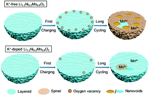 Graphical abstract: Unveiling the benefits of potassium doping on the structural integrity of Li–Mn-rich layered oxides during prolonged cycling by dual-mode EPR spectroscopy