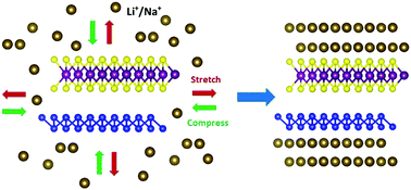 Graphical abstract: Strain-engineered BlueP–MoS2 van der Waals heterostructure with improved lithiation/sodiation for LIBs and SIBs