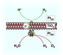 Graphical abstract: TiO2-supported Pt single atoms by surface organometallic chemistry for photocatalytic hydrogen evolution