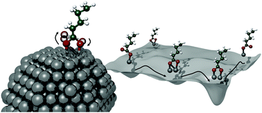 Graphical abstract: Binding modes of carboxylic acids on cobalt nanoparticles