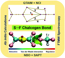 Graphical abstract: Rotational characterization of S⋯F chalcogen bonds in the complex of 2,2,4,4-tetrafluoro-1,3-dithietane and difluoromethane