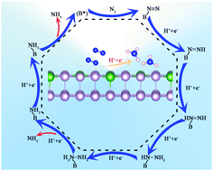 Graphical abstract: The doping and oxidation of 2D black and blue phosphorene: a new photocatalyst for nitrogen reduction driven by visible light