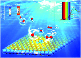 Graphical abstract: The dual-defective SnS2 monolayers: promising 2D photocatalysts for overall water splitting