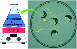 Graphical abstract: A hybrid camphor–camphene wax material for studies on self-propelled motion