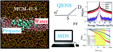 Graphical abstract: Effects of water on the stochastic motions of propane confined in MCM-41-S pores