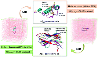 Graphical abstract: Interactions of a multifunctional di-triazole derivative with Alzheimer's Aβ42 monomer and Aβ42 protofibril: a systematic molecular dynamics study