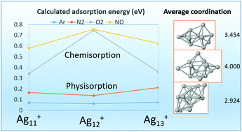 Graphical abstract: Study of odd–even effects in physisorption and chemisorption of Ar, N2, O2 and NO on open shell Ag11–13+ clusters by means of self-consistent van der Waals density functional calculations