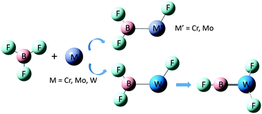Graphical abstract: Matrix infrared spectroscopy of F2BMF and FB [[triple bond, length as m-dash]] WF2 (M = Cr, Mo and W) complexes and quantum chemistry calculations