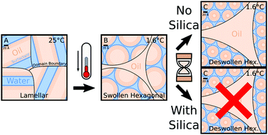 Graphical abstract: Tuning the structure, thermal stability and rheological properties of liquid crystal phases via the addition of silica nanoparticles