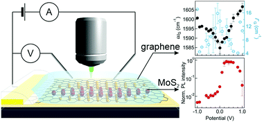 Graphical abstract: Strong and efficient doping of monolayer MoS2 by a graphene electrode