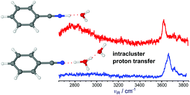 Graphical abstract: Intracluster proton transfer in protonated benzonitrile–(H2O)n≤6 nanoclusters: hydrated hydronium core for n ≥ 2