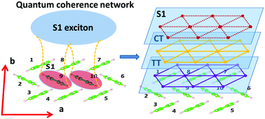 Graphical abstract: Topology of quantum coherence networks in singlet fission: mapping exciton states into real space and the dislocation induced three dimensional manifolds