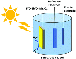 Graphical abstract: Photoelectrochemical OER activity by employing BiVO4 with manganese oxide co-catalysts