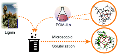 Graphical abstract: Theoretical study on the microscopic mechanism of lignin solubilization in Keggin-type polyoxometalate ionic liquids