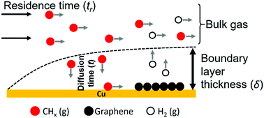 Graphical abstract: The role of gas-phase dynamics in interfacial phenomena during few-layer graphene growth through atmospheric pressure chemical vapour deposition