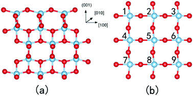 Graphical abstract: Structure and reactivity of a water-covered anatase TiO2(001) surface