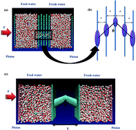 Graphical abstract: Exploring fast water permeation through aquaporin-mimicking membranes