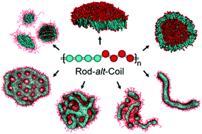 Graphical abstract: Solution self-assembly behavior of rod-alt-coil alternating copolymers via simulations
