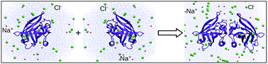Graphical abstract: Calculation of salt-dependent free energy of binding of β-lactoglobulin homodimer formation and mechanism of dimer formation using molecular dynamics simulation and three-dimensional reference interaction site model (3D-RISM): diffuse salt ions and non-polar interactions between the monomers favor the dimer formation