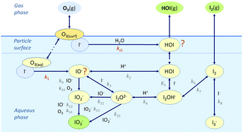 Graphical abstract: Iodide conversion to iodate in aqueous and solid aerosols exposed to ozone