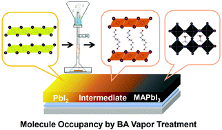 Graphical abstract: Molecule occupancy by a n-butylamine treatment to facilitate the conversion of PbI2 to perovskite in sequential deposition