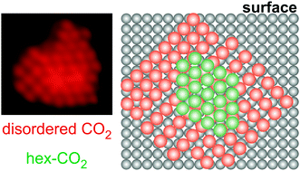Graphical abstract: Common structures of CO2 on structurally different coin metal surfaces