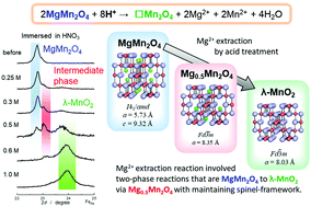 Graphical abstract: Mechanism of Mg extraction from MgMn2O4 during acid digestion