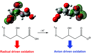 Graphical abstract: Reactions of a distonic peroxyl radical anion influenced by SOMO–HOMO conversion: an example of anion-directed channel switching