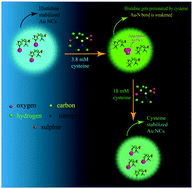Graphical abstract: Tailoring the luminescence of atomic clusters via ligand exchange reaction mediated post synthetic modification