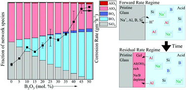 Graphical abstract: An insight into the corrosion of alkali aluminoborosilicate glasses in acidic environments