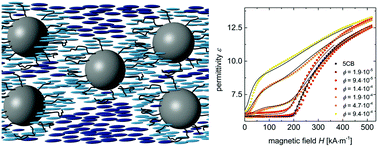Graphical abstract: Efficient ferronematic coupling with polymer-brush particles