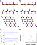 Graphical abstract: Multiferroic hydrogenated graphene bilayer