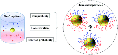 Graphical abstract: Microscopic characteristics of Janus nanoparticles prepared via a grafting-from reaction at the immiscible liquid interface