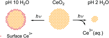 Graphical abstract: Photoreductive dissolution of cerium oxide nanoparticles and their size-dependent absorption properties
