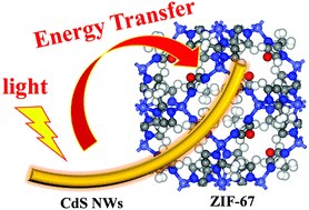 Graphical abstract: Enhanced light harvesting ability in zeolitic imidazolate frameworks through energy transfer from CdS nanowires