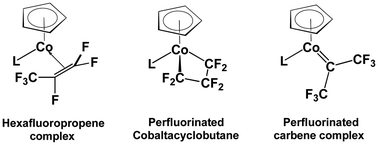 Graphical abstract: Perfluoroolefin complexes versus perfluorometallacycles and perfluorocarbene complexes in cyclopentadienylcobalt chemistry