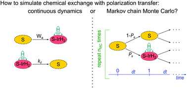 Graphical abstract: Coherent polarization transfer in chemically exchanging systems