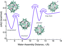 Graphical abstract: Water plays a dynamical role in a hydrogen-bonded, hexameric supramolecular assembly