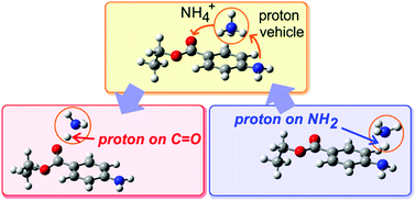 Graphical abstract: Long-distance proton transfer induced by a single ammonia molecule: ion mobility mass spectrometry of protonated benzocaine reacted with NH3