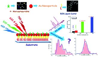 Graphical abstract: Deciphering the near-field response with the far-field wavelength-scanned SERS spectra of 4-mercaptopyridine adsorbed on gold nanocolloidal particles entrapped in Langmuir Reverse Schaefer film of 5CB liquid crystal molecules