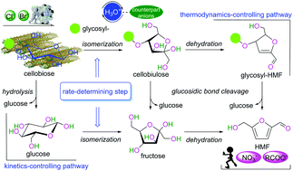 Graphical abstract: Mechanistic study of cellobiose conversion to 5-hydroxymethylfurfural catalyzed by a Brønsted acid with counteranions in an aqueous solution