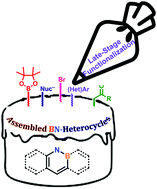 Graphical abstract: Late-stage functionalization of BN-heterocycles
