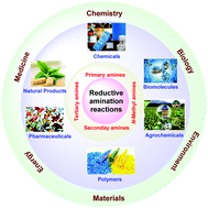 Graphical abstract: Catalytic reductive aminations using molecular hydrogen for synthesis of different kinds of amines