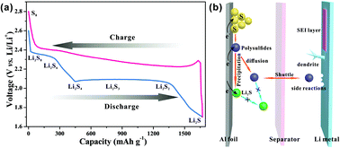 Graphical abstract: In situ optical spectroscopy characterization for optimal design of lithium–sulfur batteries