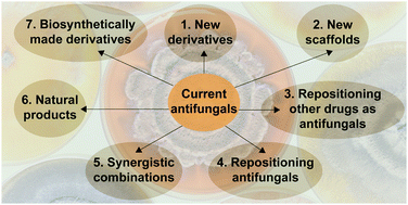 Graphical abstract: A comprehensive overview of the medicinal chemistry of antifungal drugs: perspectives and promise