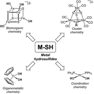 Graphical abstract: Hydrosulfide complexes of the transition elements: diverse roles in bioinorganic, cluster, coordination, and organometallic chemistry