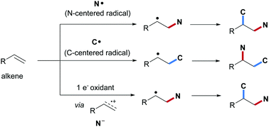 Graphical abstract: Intermolecular radical carboamination of alkenes