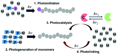 Graphical abstract: Recent advances in light-regulated non-radical polymerisations