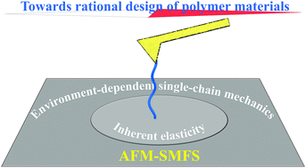 Graphical abstract: Environment-dependent single-chain mechanics of synthetic polymers and biomacromolecules by atomic force microscopy-based single-molecule force spectroscopy and the implications for advanced polymer materials