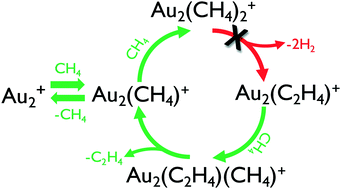 Graphical abstract: Au2+ cannot catalyze conversion of methane to ethene at low temperature